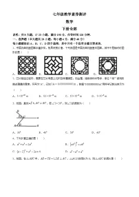 安徽省宿州市砀山县2023-2024学年七年级下学期期末数学试题