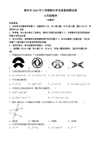 湖南省郴州市2023-2024学年七年级下学期期末数学试题(无答案)