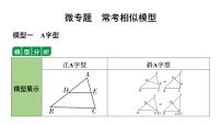 2024辽宁中考数学二轮专题复习 微专题 常考相似模型（课件）