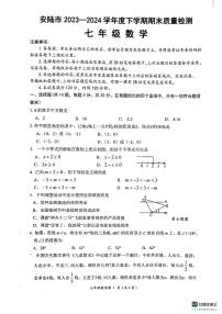 湖北省安陆市2023-2024学年七年级下学期期末质量检测数学试题