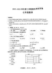 河南省濮阳市2023-2024学年七年级下学期7月期末数学试题