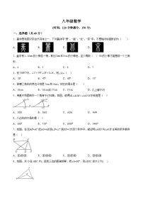 福建省龙岩市漳平市2023-2024学年八年级上学期期中考试数学试卷(含解析)