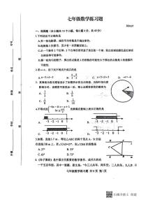 山东省泰安市岱岳区2023-2024学年七年级下学期7月期末数学试题