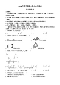 湖南省长沙市宁乡市金海中学2023-2024学年七年级下学期期末数学试题(无答案)