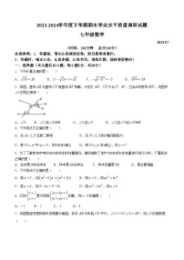 山东省临沂市临沂经济技术开发区2023-2024学年七年级下学期期末数学试题(无答案)