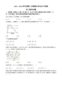 山东省淄博市张店区2023-2024学年八年级下学期期末数学试题(无答案)