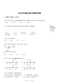 2024年湖北省中考数学试卷（含详细解析）