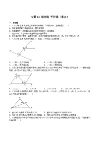 沪教版七年级数学下册满分冲刺卷专题03相交线平行线(重点)(原卷版+解析)