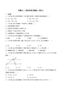 沪教版七年级数学下册满分冲刺卷专题05三角形的有关概念(重点)(原卷版+解析)