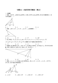 沪教版七年级数学下册满分冲刺卷专题06三角形的有关概念(难点)(原卷版+解析)