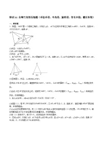 沪教版七年级数学下册满分冲刺卷特训11全等三角形压轴题(原卷版+解析)