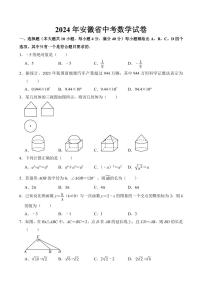 2024年安徽省中考数学试卷(含答案)