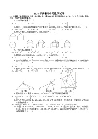 2024年安徽省中考数学试卷【含解析】