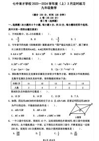 2024年成都七中育才学校九下数学3月考试卷（无答案）