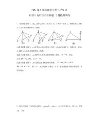 2024年九年级数学中考二轮复习相似三角形综合压轴题专题提升训练【含答案】