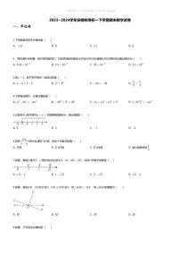 [数学][期末]2023~2024学年安徽蚌埠初一下学期期末数学试卷(无答案)