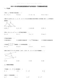 [数学][期末]2023~2024学年安徽合肥高新技术产业开发区初一下学期期末数学试卷(无答案)