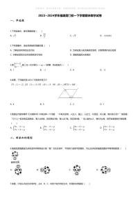 [数学][期末]2023~2024学年福建厦门初一下学期期末数学试卷(无答案)