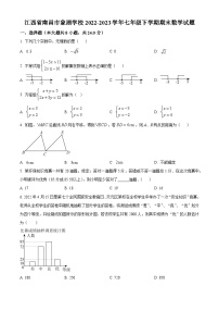 精品解析：江西省南昌市象湖学校2022-2023学年七年级下学期期末数学试题（原卷版+解析版）