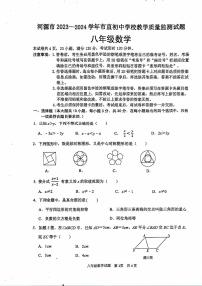 广东省河源市市直学校2023-2024学年八年级下学期数学期末试卷