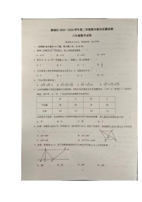 广东省惠州市惠城区2023-2024学年八年级下学期期末教学质量检测数学试卷