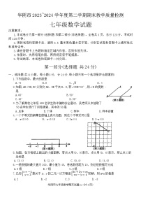 陕西省渭南市华阴市2023-2024学年七年级下学期期末考试数学试题