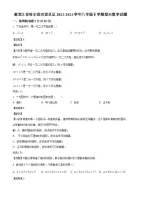 黑龙江省哈尔滨市道里区2023-2024学年八年级下学期期末数学试题（解析版）