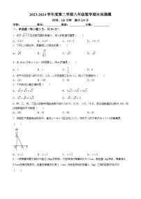 广东省湛江市雷州市2023-2024学年八年级下学期期末数学试题(无答案)