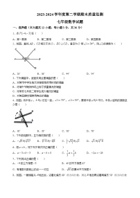 河北省保定市定州市2023-2024学年七年级下学期期末数学试题(无答案)