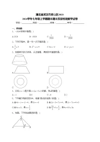 湖北省武汉市青山区2023-2024学年七年级上学期期末期末质量检测数学试卷(含答案)