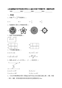 山东省聊城市茌平区部分学校2024届九年级下学期中考一模数学试卷(含答案)