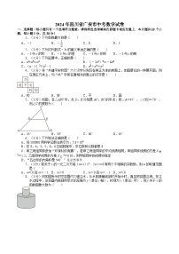 2024年四川省广安市中考数学试卷【含解析】