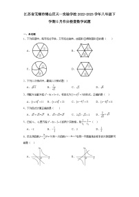 江苏省无锡市锡山区天一实验学校2022-2023学年八年级下学期5月作业检查数学试题