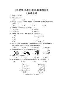 广东省清远市英德市2023-2024学年七年级下学期7月期末数学试题