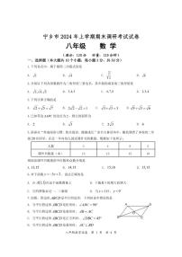 湖南省长沙市宁乡市2023-2024学年八年级下学期期末考试数学试题