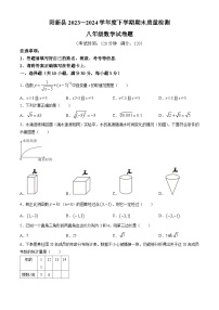 湖北省黄石市阳新县2023-2024学年八年级下学期期末数学试题