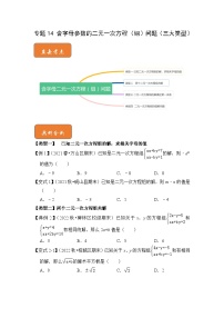 七年级数学下册高分突破专题14含字母参数的二元一次方程(组)问题(三大类型)(原卷版+解析)