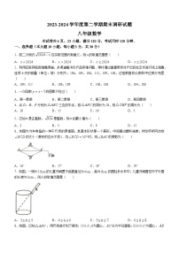 广东省江门市蓬江区2023-2024学年八年级下学期期末数学试题(无答案)