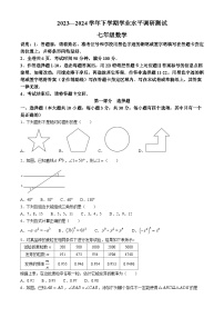 广东省深圳市光明区2023-2024学年七年级下学期期末数学试题