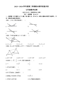 河北省沧州市盐山县2023-2024学年七年级下学期期末数学试题