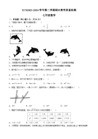 河南省许昌市2023-2024学年七年级下学期期末数学试题
