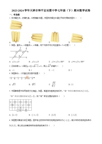 天津市和平区双菱中学2023-2024学年七年级下学期期末数学试题