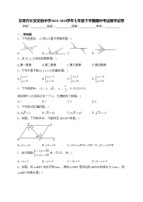 东莞市长安实验中学2023-2024学年七年级下学期期中考试数学试卷(含答案)