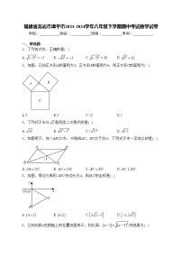 福建省龙岩市漳平市2023-2024学年八年级下学期期中考试数学试卷(含答案)