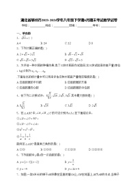 湖北省鄂州市2023-2024学年八年级下学期6月期末考试数学试卷(含答案)