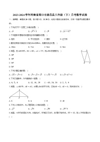 2023-2024学年河南省周口市鹿邑县八年级（下）月考数学试卷（含答案）