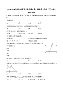 2023-2024学年江苏省连云港市灌云县、灌南县七年级（下）期末数学试卷（含解析）