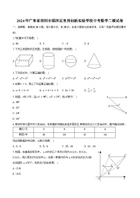 2024年广东省深圳市福田区皇岗创新实验学校中考数学二模试卷（含答案）