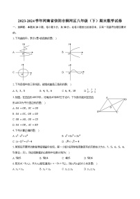 2023-2024学年河南省信阳市浉河区八年级（下）期末数学试卷（含答案）