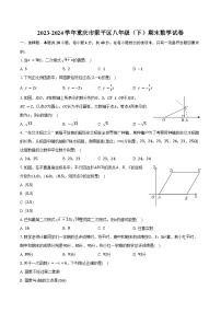 2023-2024学年重庆市梁平区八年级（下）期末数学试卷（含解析）